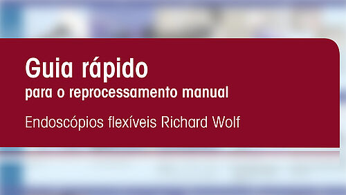 Guia rápido para o reprocessamento manual