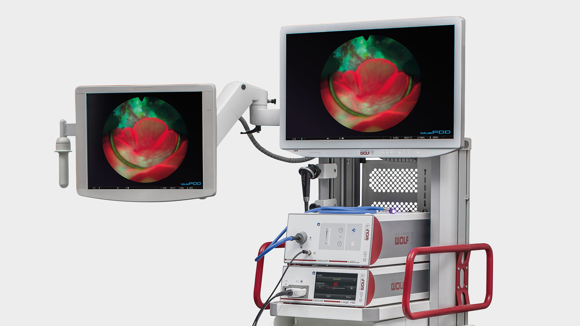 System blue Richard Wolf